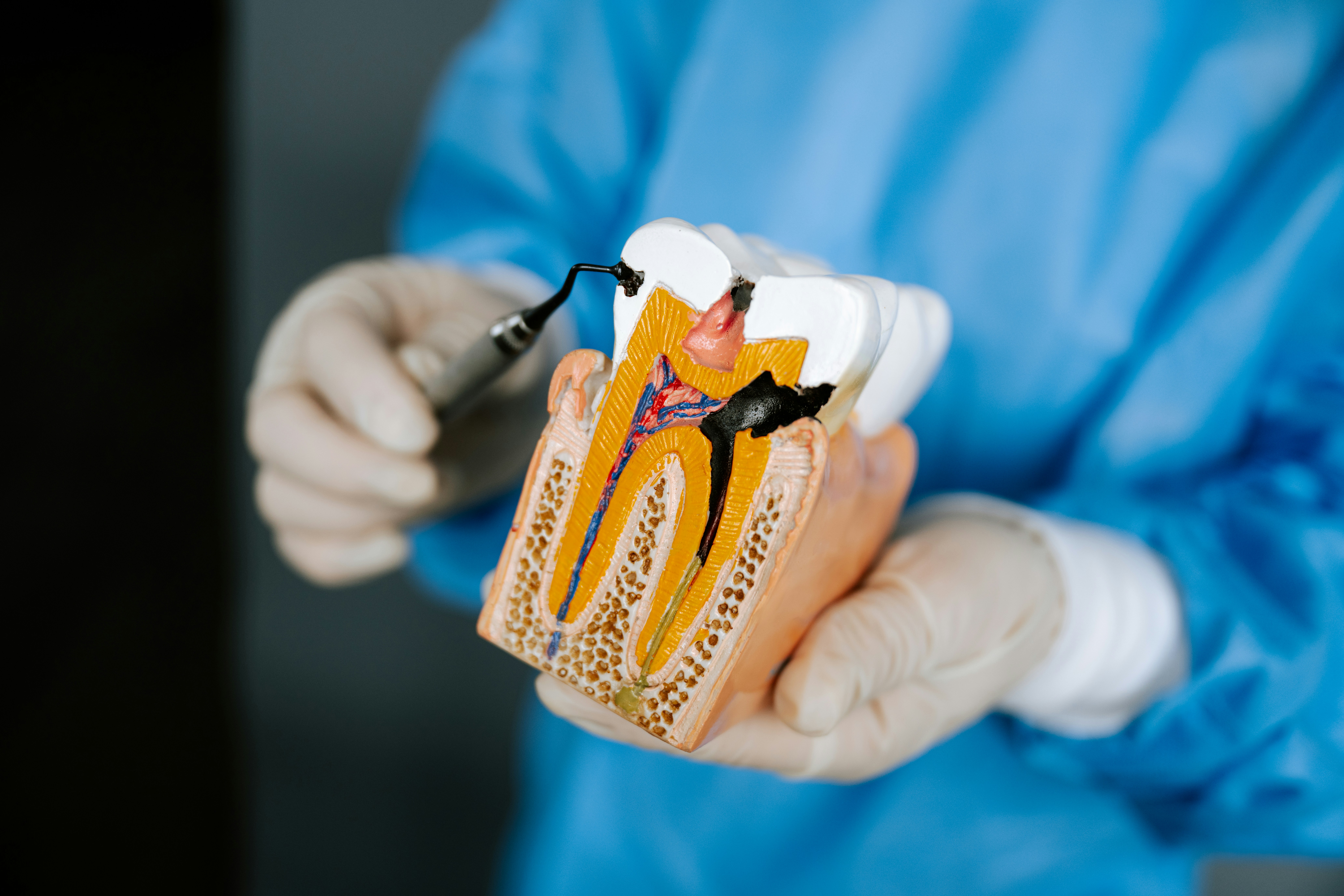 Guided Bone & Tissue Regeneration